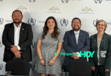 Centroamérica Big Day 2026: La región se une para el mayor registro de aves