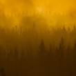_93790020_chileincendio6