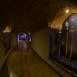 Museo de la Plata