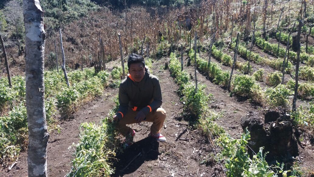 Fuente: Agexport