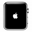 apple-watch