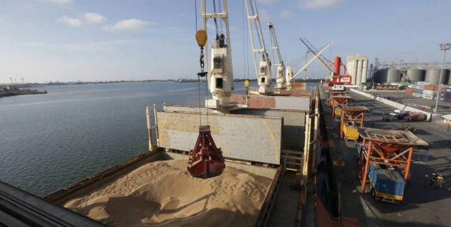 trigo-venezuela3-avn